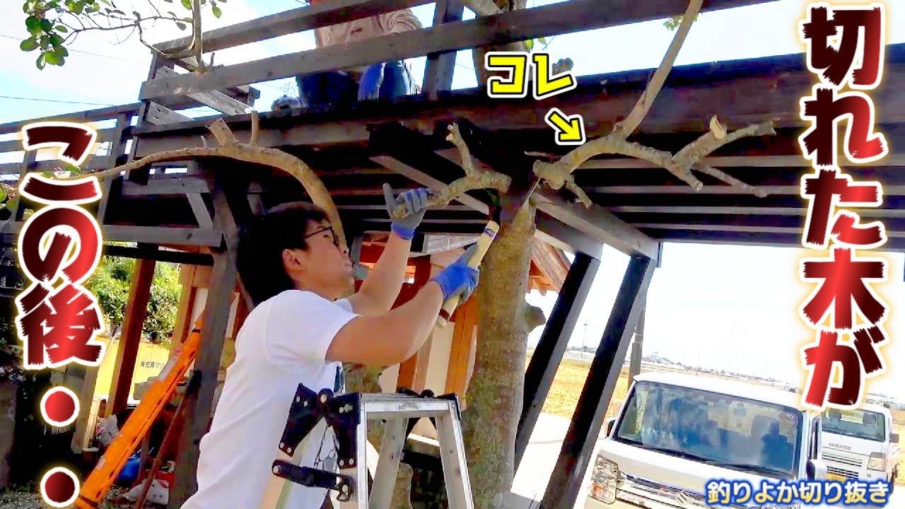 【釣りよか切り抜き】作業中のハプニング！はたくん咄嗟の神対応発言♪ Part.143