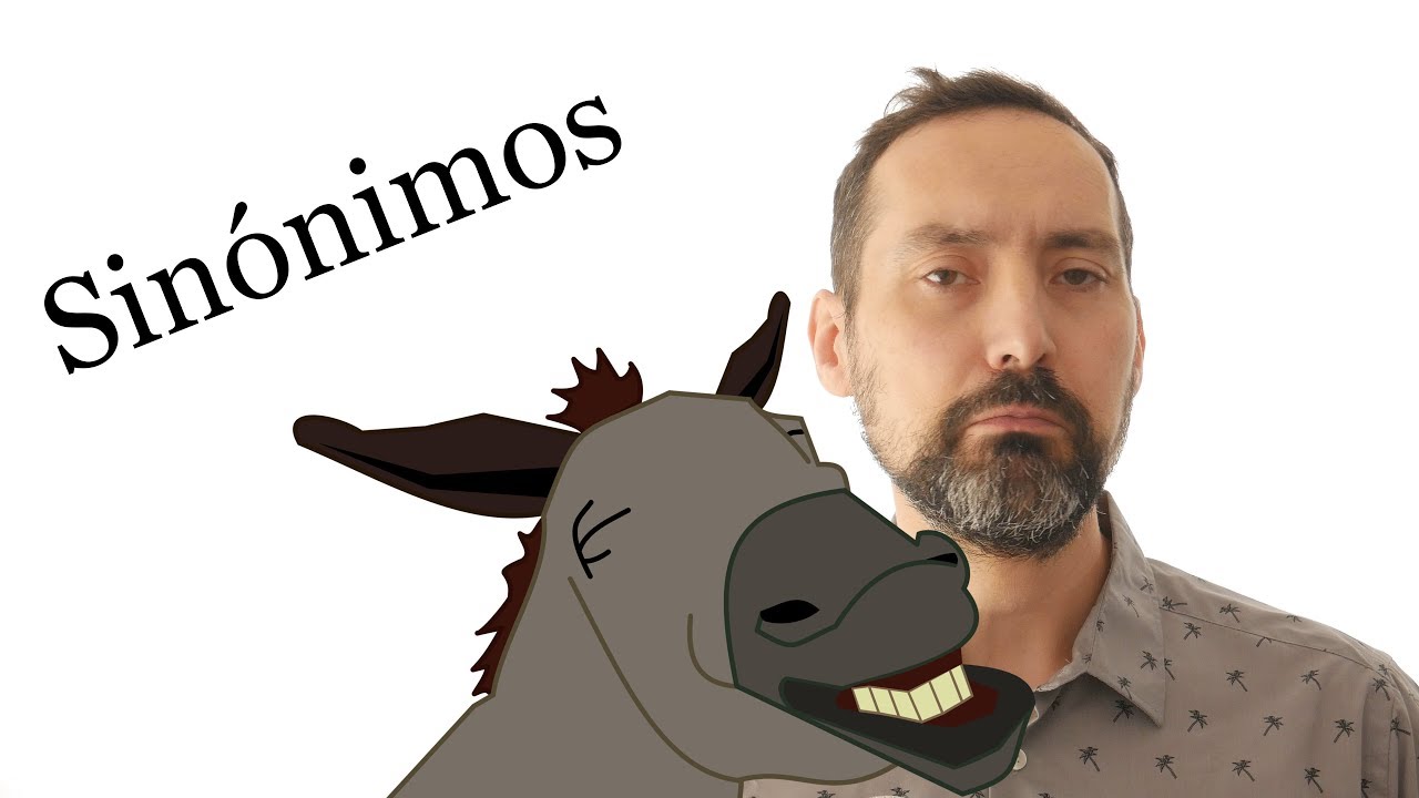 Qué son los sinónimos