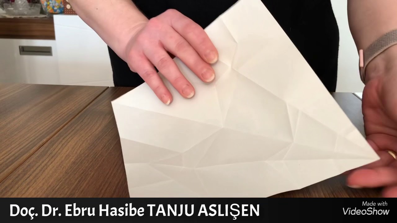 Storigami Hikayeleri 4: Yepyeni Kanatlar #storigami #origamivehikayekardeşliği ⚠️ENGLISH SUBTITLES