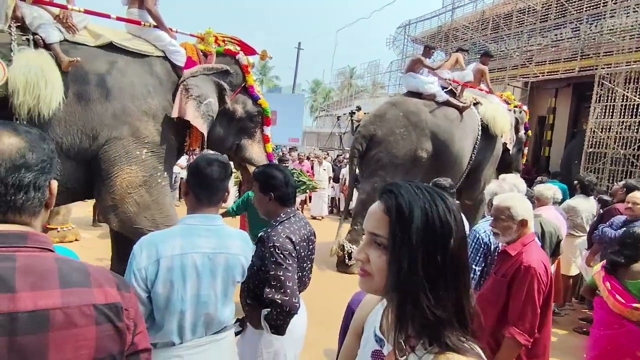 മണ്ണാർക്കാട് പൂരം3 March 2026
