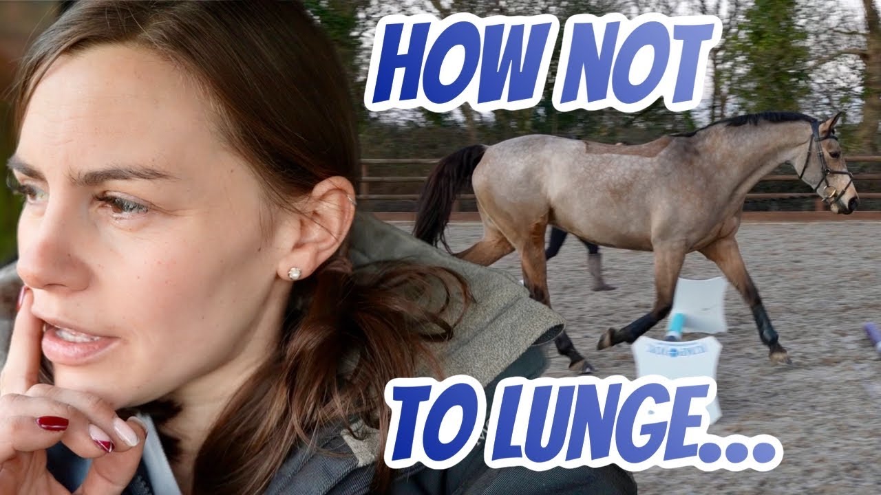 How *NOT* to Lunge Your Horse 😂 but we had fun! 