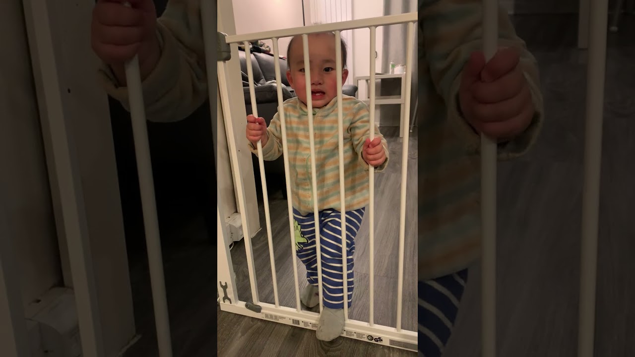 Baby and gate are never compatible😂😂