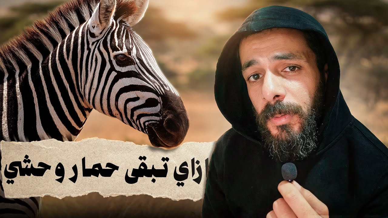 الحياة من وجهة نظر الحمار الوحشي