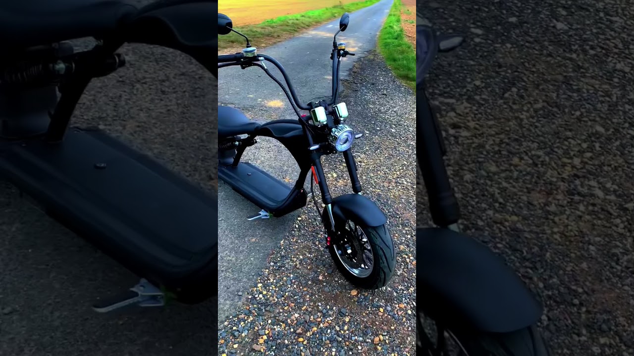 E-Chopper