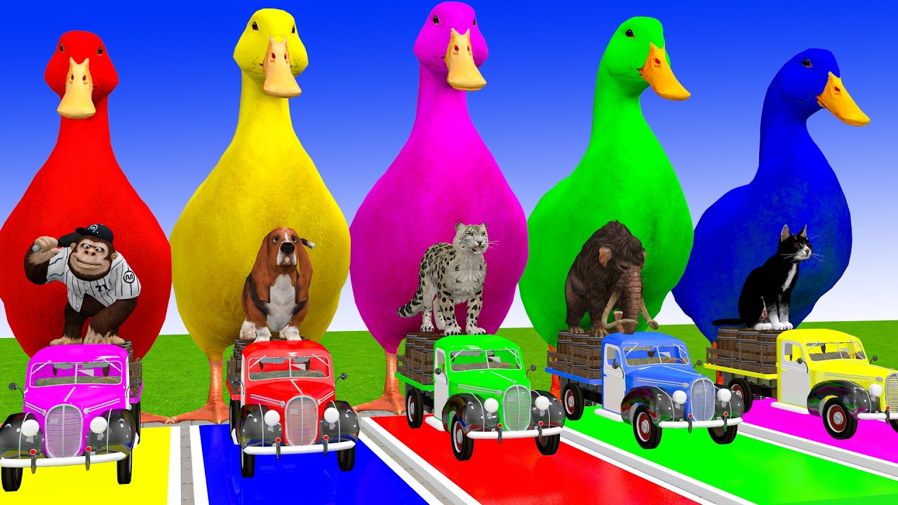 Long Slide Game With Cow Elephant Gorilla Hippopotamus Tiger 3d Animal Game Funny 3d Animals