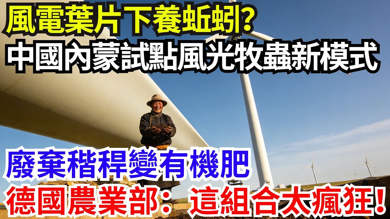風電葉片下養蚯蚓？中國內蒙試點「風光牧蟲」新模式，廢棄稭稈變有機肥，德國農業部直呼：這組合太瘋狂！ #超級#工程#大國工程#國家重器#重大工程#養蚯蚓