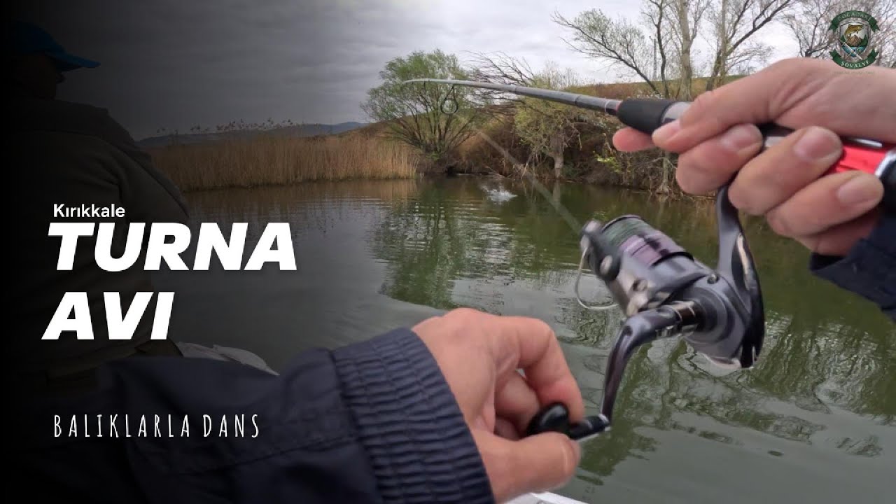 Bol Balıklı Turna Avı (Balığa Doyduk) - Pike Fishing