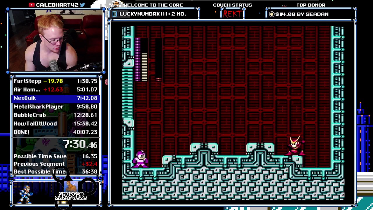Mega Man 2 Speedrun