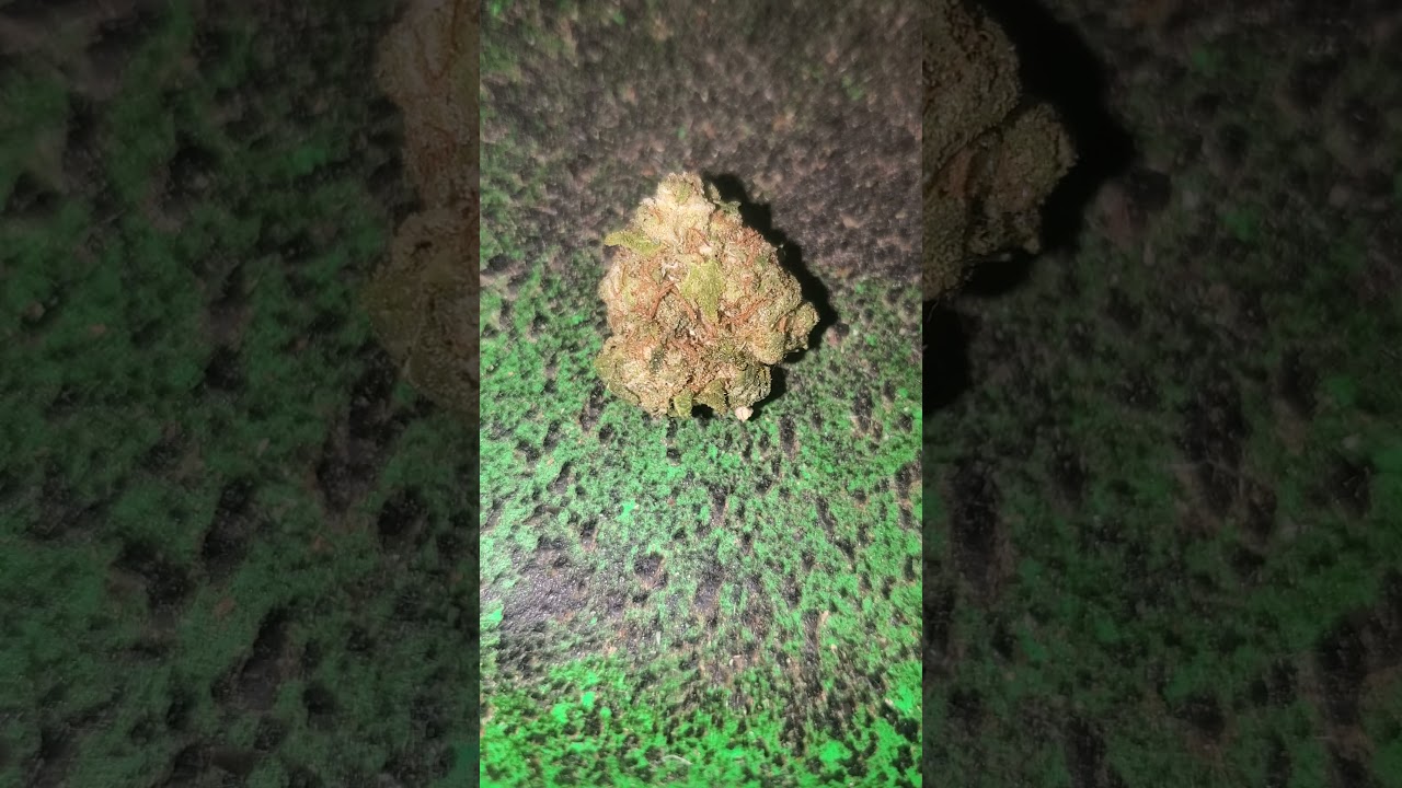 Purple Platinum