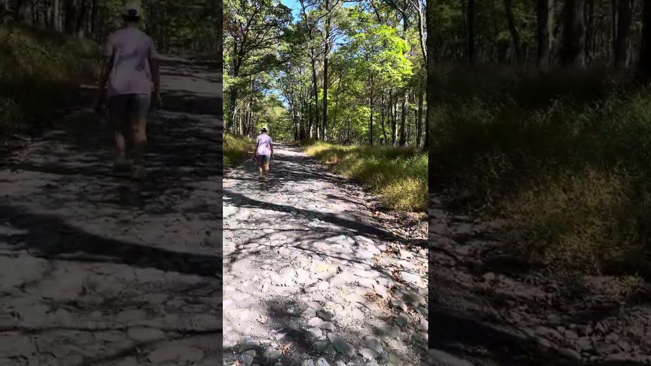 Gambrill Park road hike