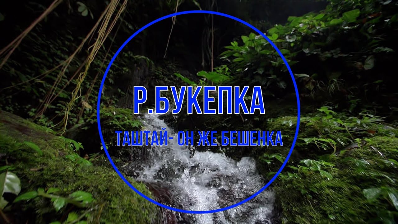 Река Букепка,Каньон реки Таштай или Бешенка. Село Индюк,Туапсинский район.