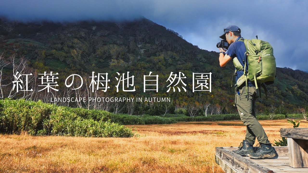 【自然写真】北アルプスの紅葉・栂池自然園散策｜GFX50Sll