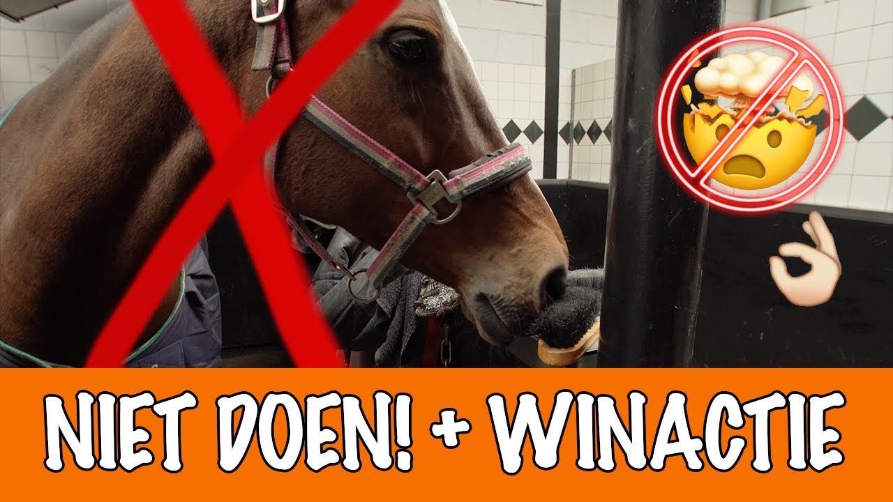 Doe dit NOOIT met paarden! | PaardenpraatTV