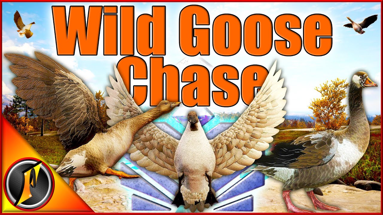 A Truly WILD Goose Chase! | Diamonds, Rares, and More!