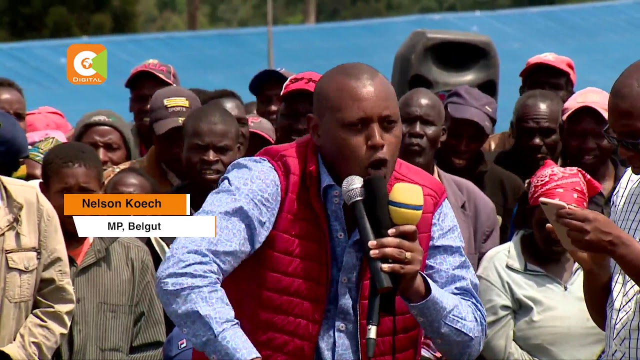 Politics hijack real issues of Mau