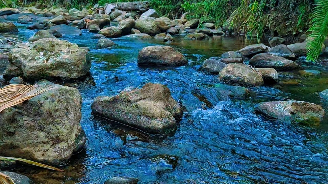 Sound of River Flowing in Forest, Relaxing Nature Sounds, white noise for sleeping, meditation, ASMR