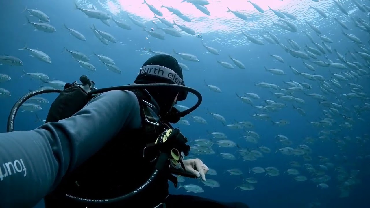 Sipadan (4K)- Shot with a GoPro Hero 10 and AOI UWL-03 wide wet lens.