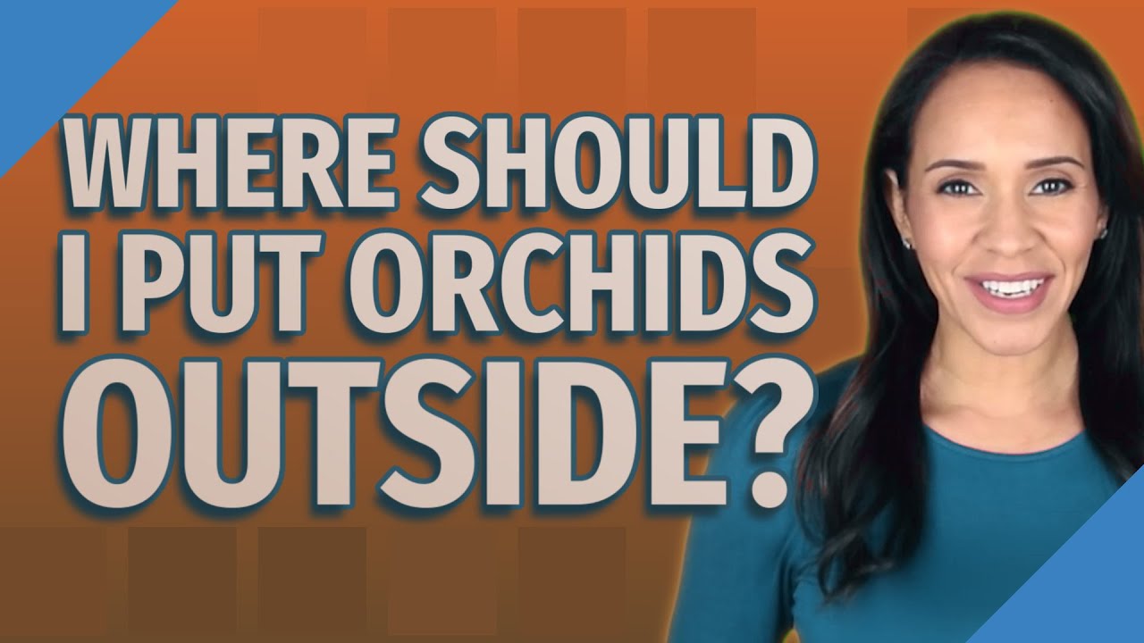 Where should I put orchids outside?