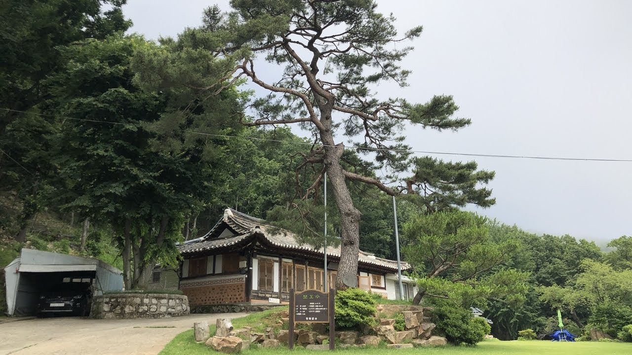 21. 6. 14. 인천(INCHEON) 강화 교동도 솔바람 새소리 화개사(Temple)