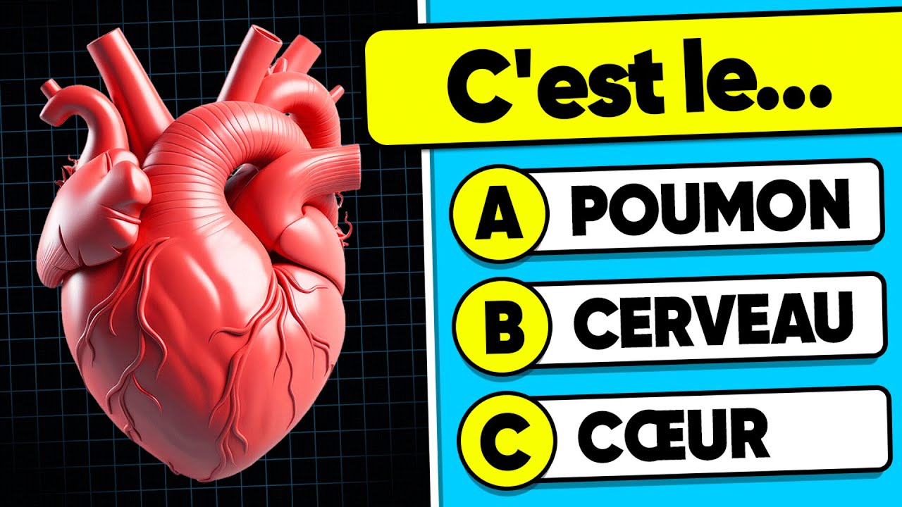 🧠 Connais-tu le Corps Humain...? 🧍💪🧬 Quiz de Culture Générale sur l'ANATOMIE | Robo Quiz