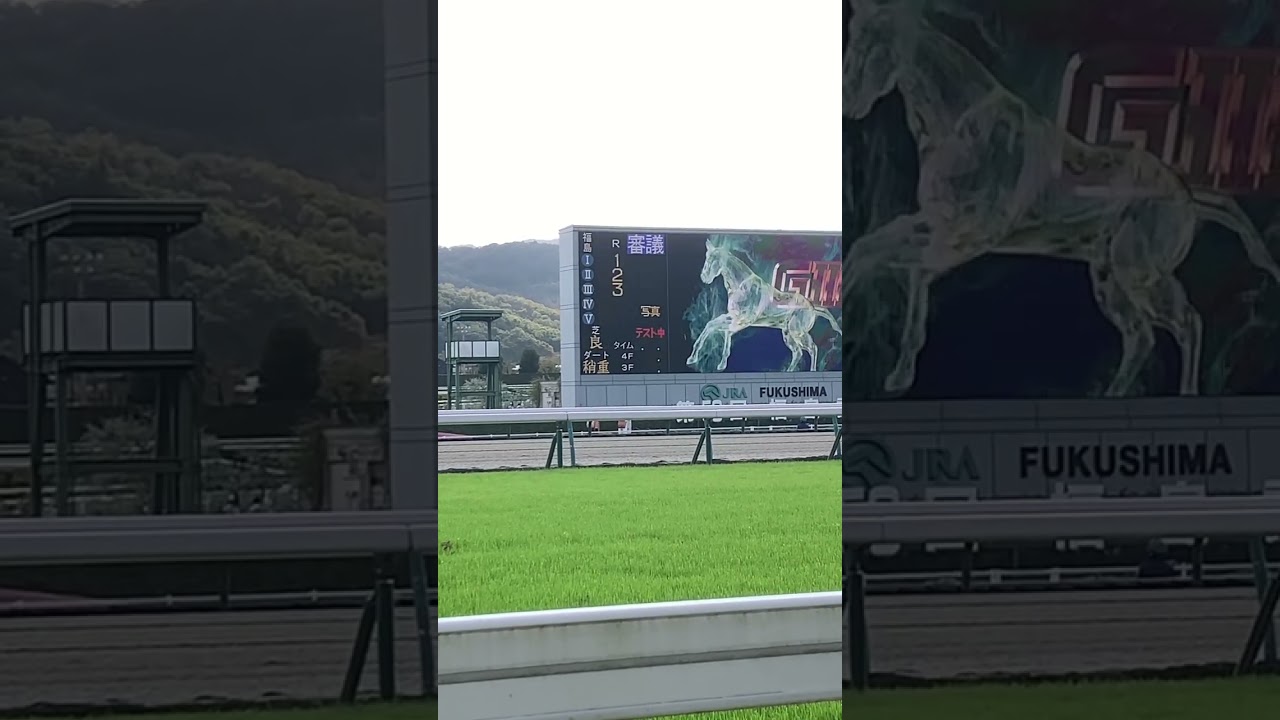 掲示板のテスト#shorts #競馬