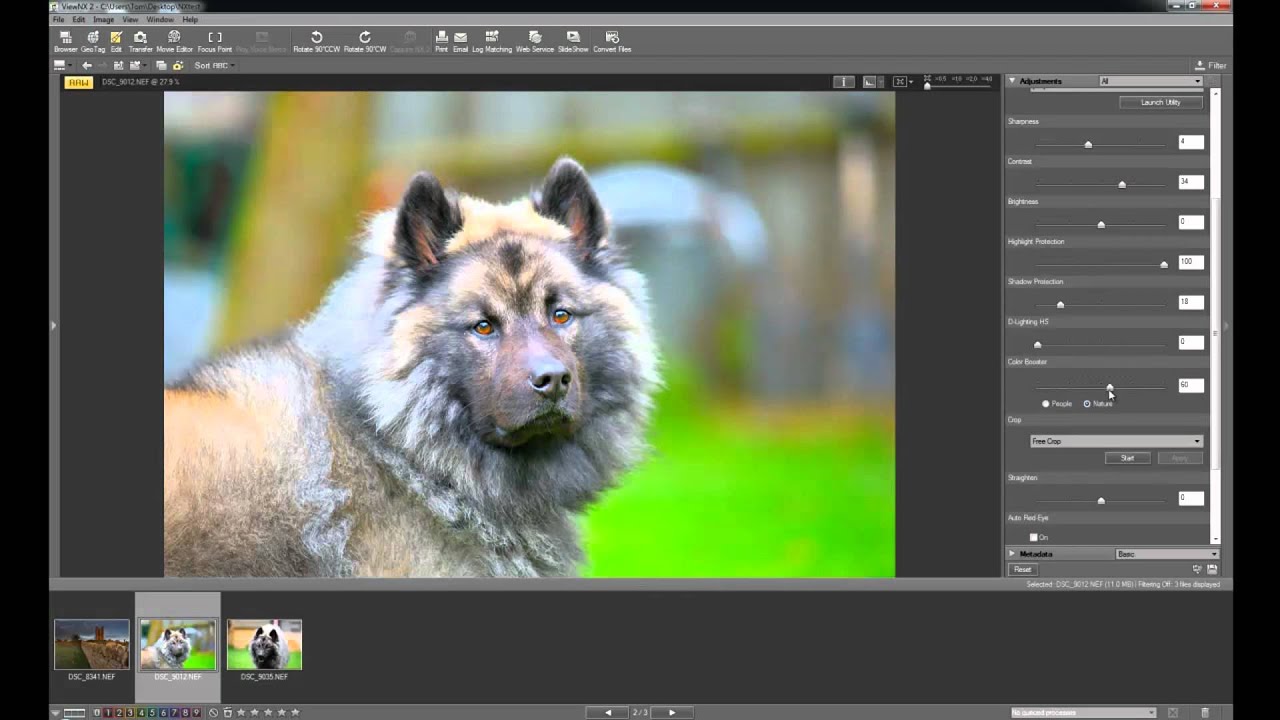 Nikon View NX2 software basics tutorial