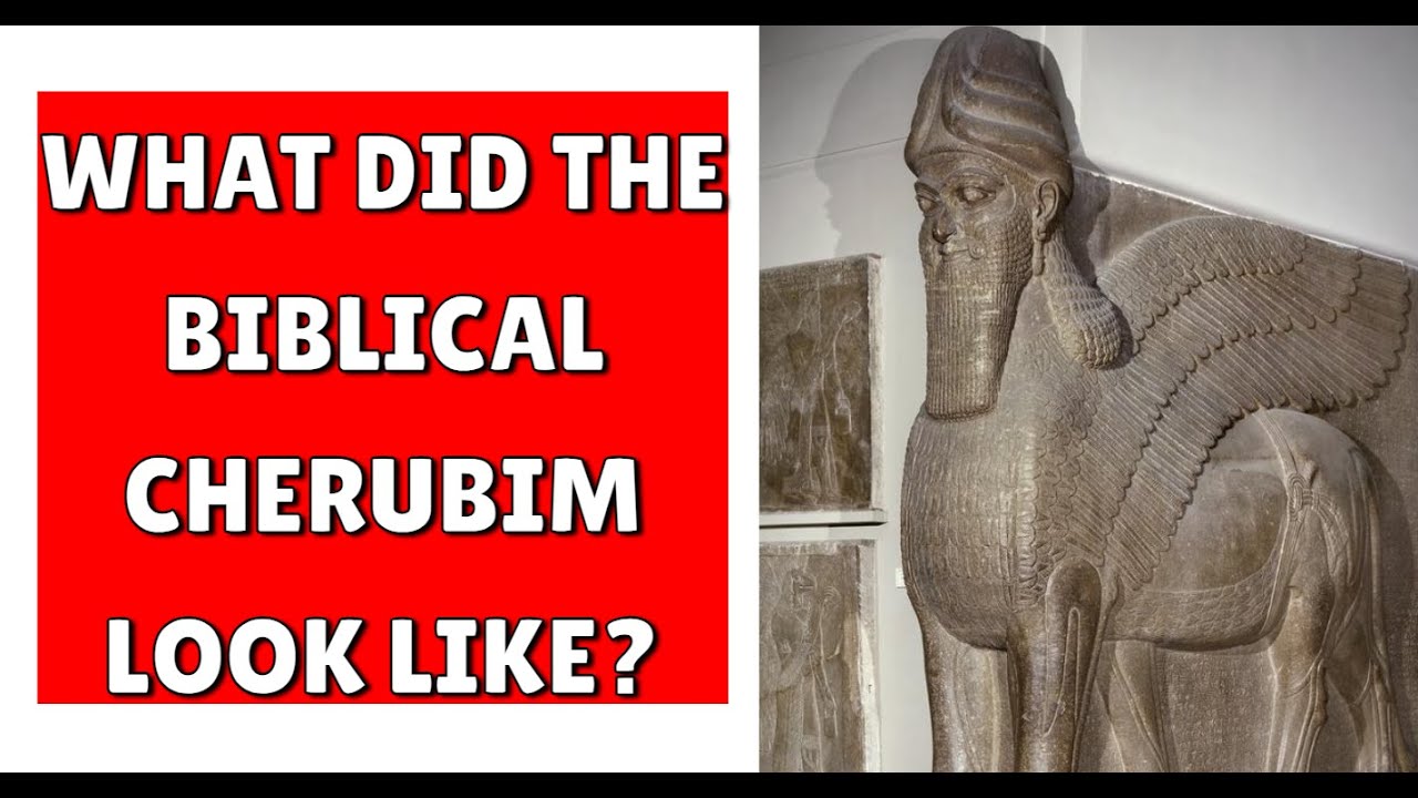 Solomon&rsquo;s Cherubim and the Bible&rsquo;s Ark of the Covenant were Real!