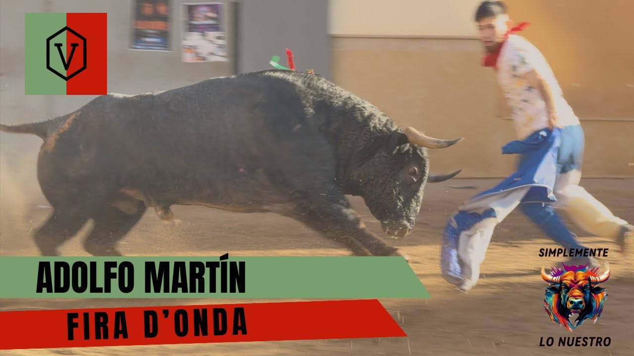 FIRA D&rsquo;ONDA 6 TOROS CERRILES DE ADOLFO MART&Iacute;N 2025