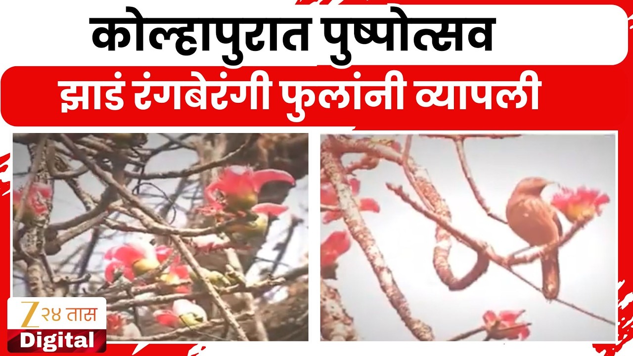 Kolhapur Flower Festival | कोल्हापुरात पुष्पोत्सव, झाडं रंगबेरंगी फुलांंनी व्यापली