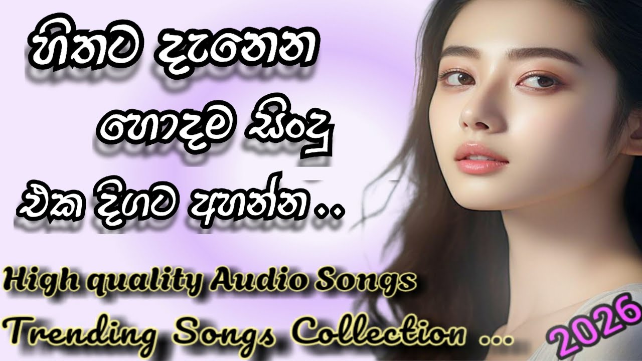 EDM Songs   | Trending Songs | Best Songs 2025 | හොදම සිංදු