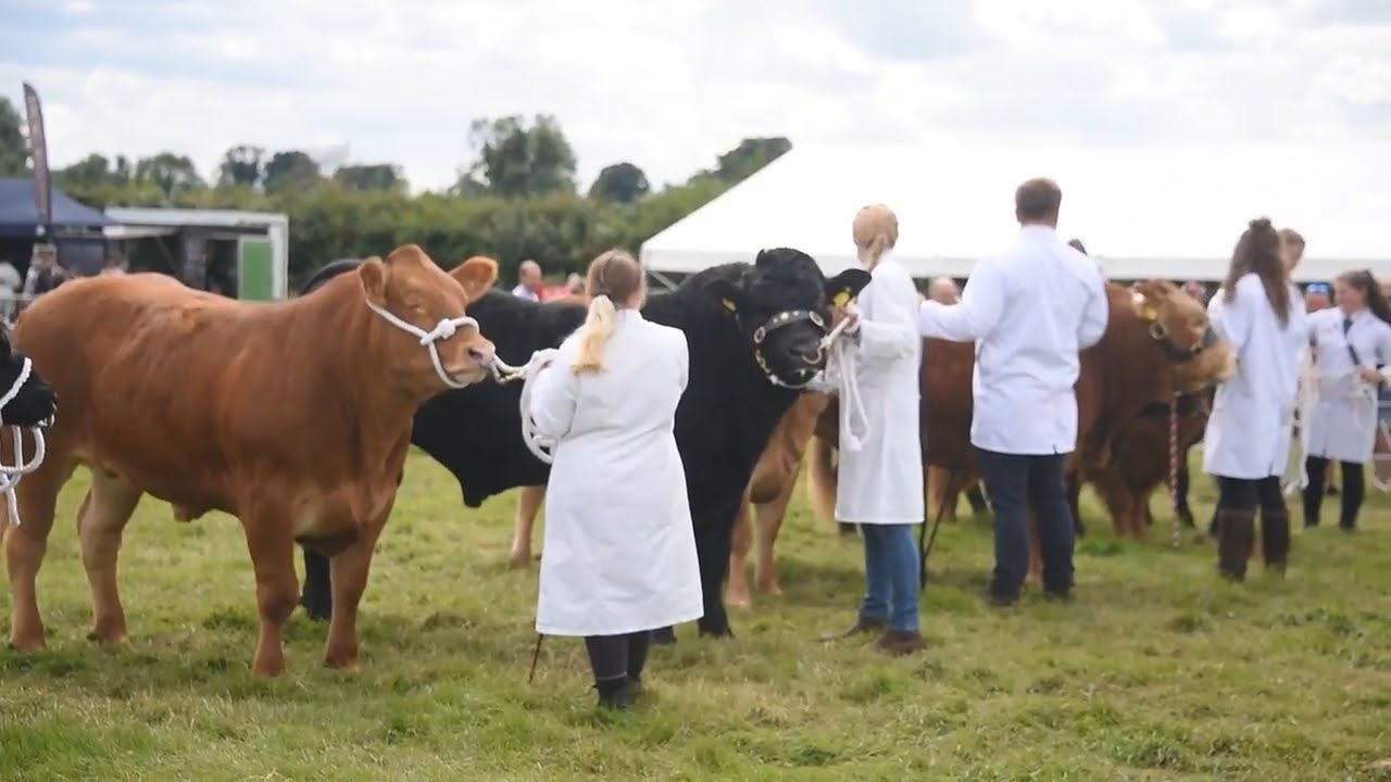 Highlights from the Wayland Show 2017