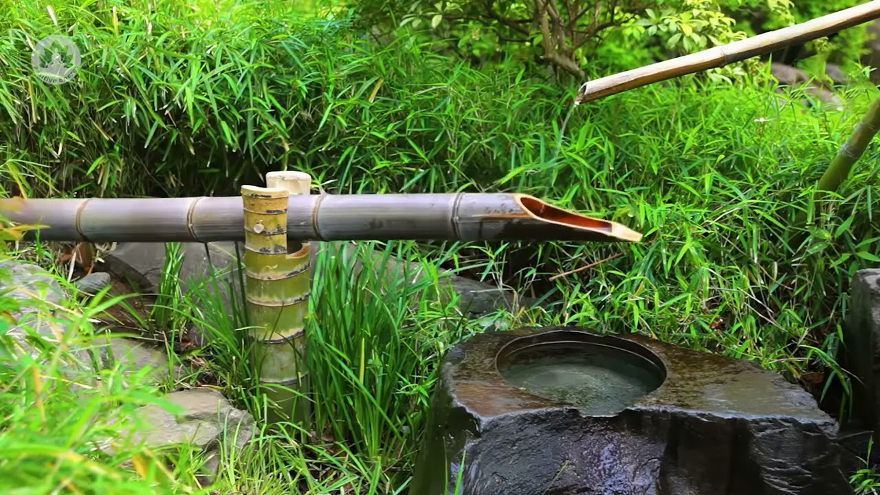 10Hours of Shishi Odoshi Sound in Japanese Zen Garden