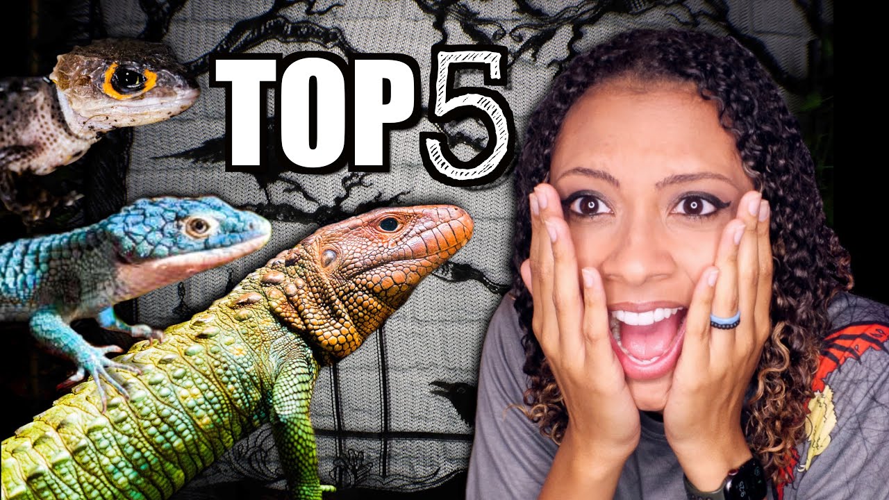 My 5 FAVORITE Pet Lizards