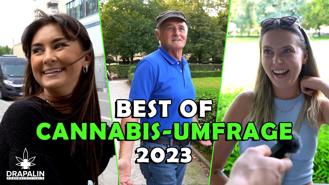 Cannabis-Umfrage Highlights 2023🌿(RE-UPLOAD): Oktoberfest, KI & mehr | Straßenumfrage - Folge 8
