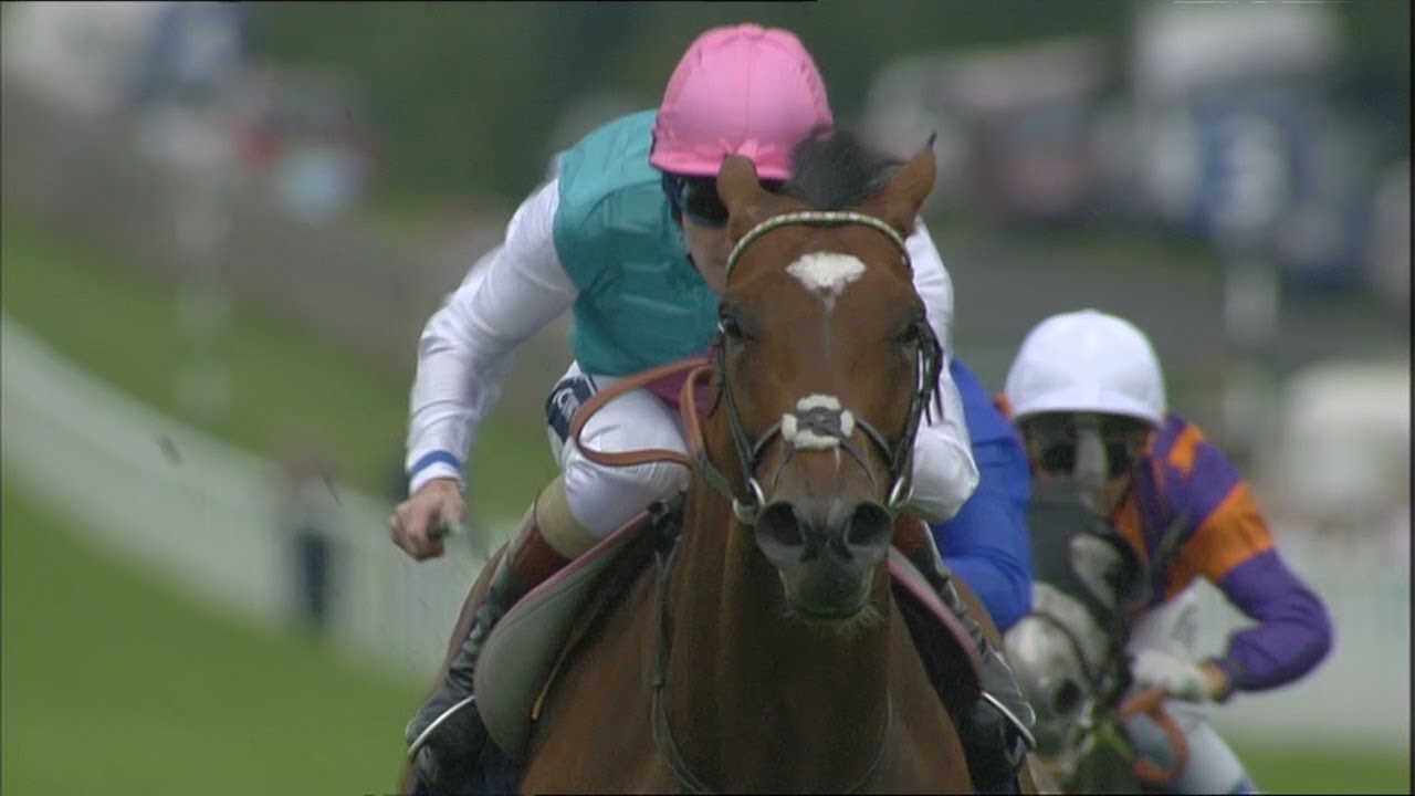 Frankel's Juddmonte International: 