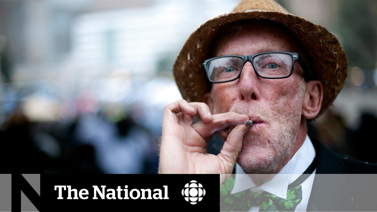 Patchwork of policies govern legal weed at the workplace