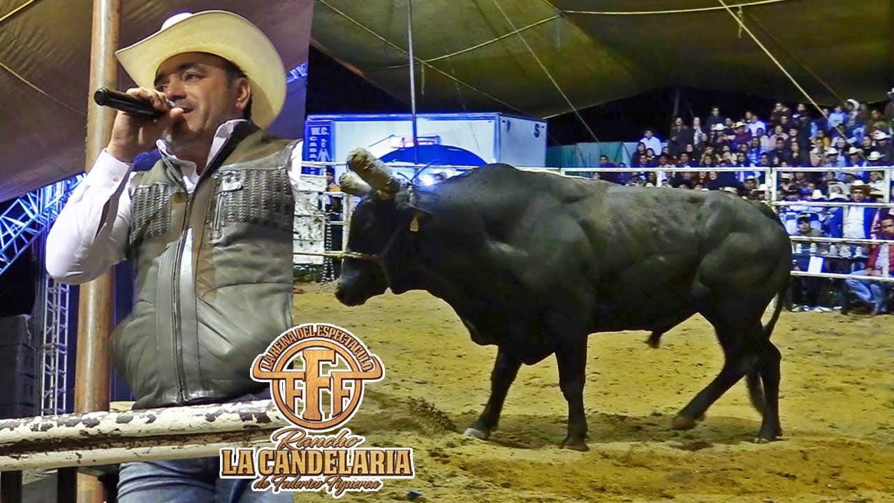 SE QUEBRO LA PATA!! EL PEQUE&Ntilde;O GRAN GUERRERO DE RANCHO LACANDELARIA