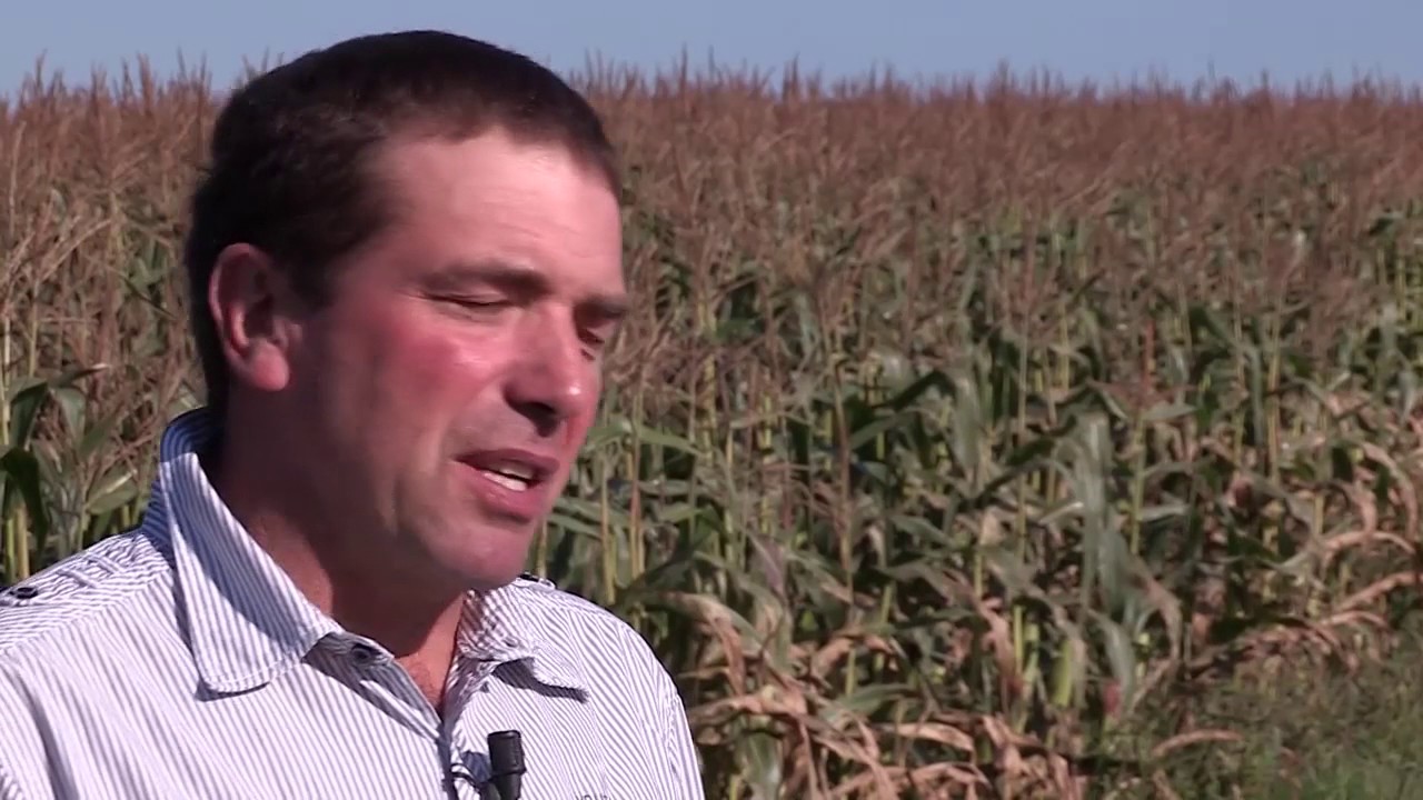 Portrait de Pierre Crabos : Agriculteur récoltant Géant Vert™