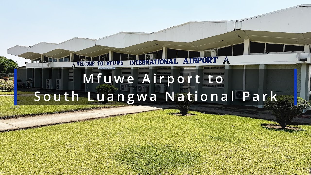 Mfuwe Airport to South Luangwa National Park | Zambia Travel Vlog
