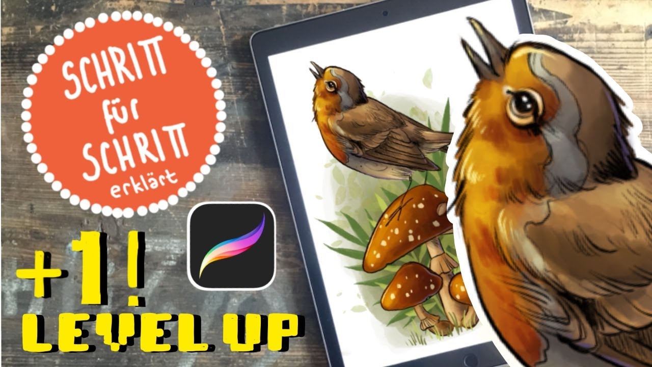 Procreate Tutorial -Rotkehlchen malen- für Fortgeschrittene