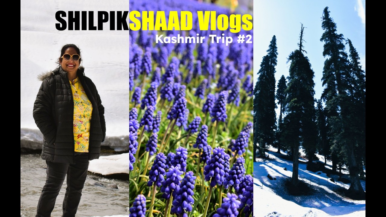 SHILPIKSHAAD Vlogs | Kashmir Trip Vlog 2