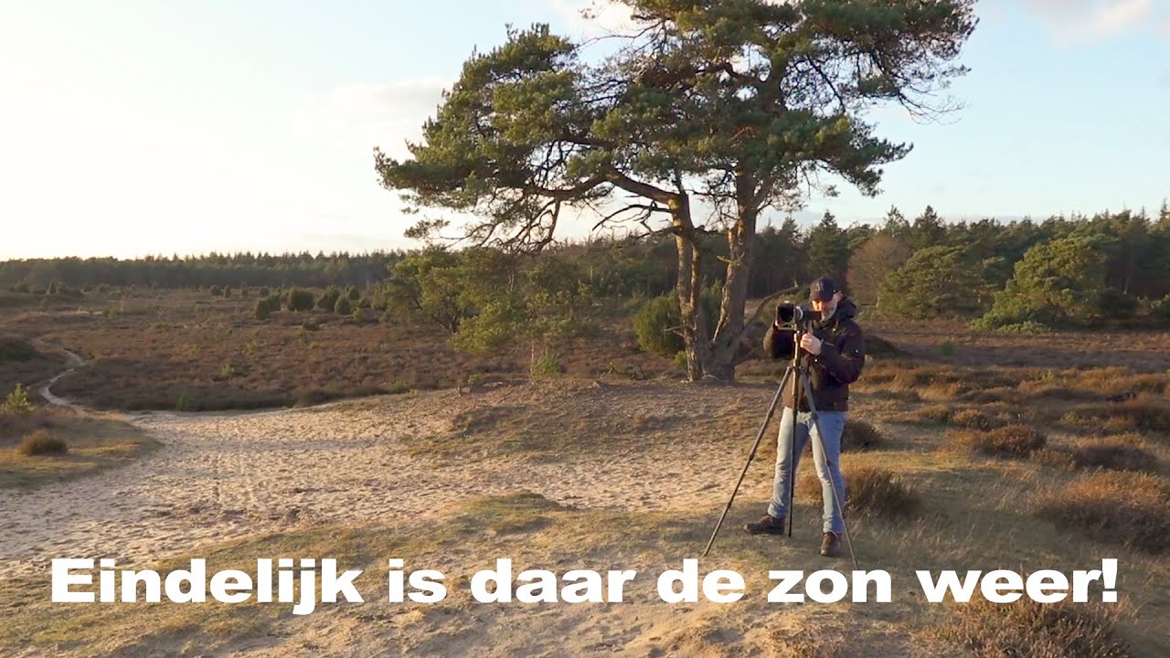Eindelijk is daar de zon weer! | Landschapsfotografie | #110