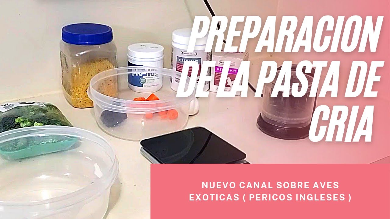 Preparacion de la pasta de cria