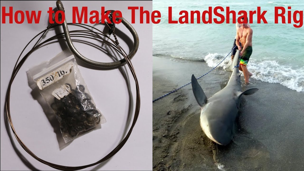 How to Shark Fishing Rig (Landbased and Boat)