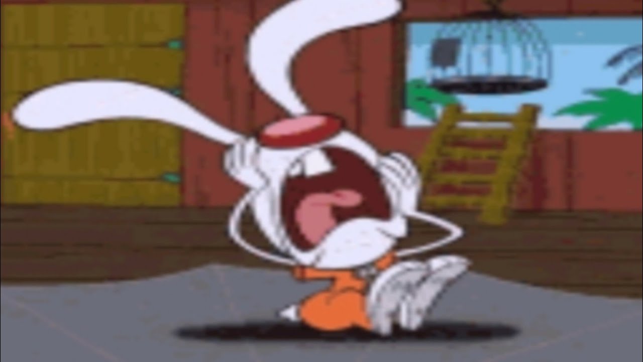 Top 5 Brandy and Mr. Whiskers 
