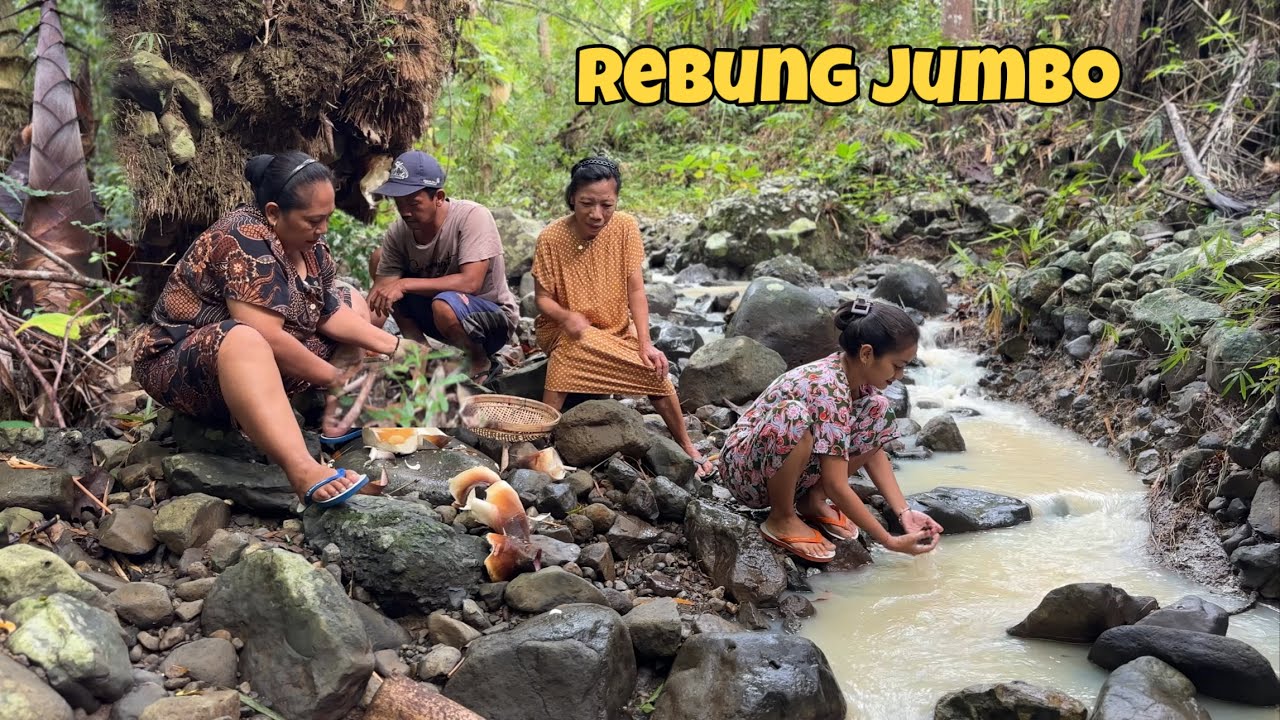 PENCARIAN REBUNG JUMBO DI HUTAN || TAHU ISI REBUNG DAN OSENG REBUNG