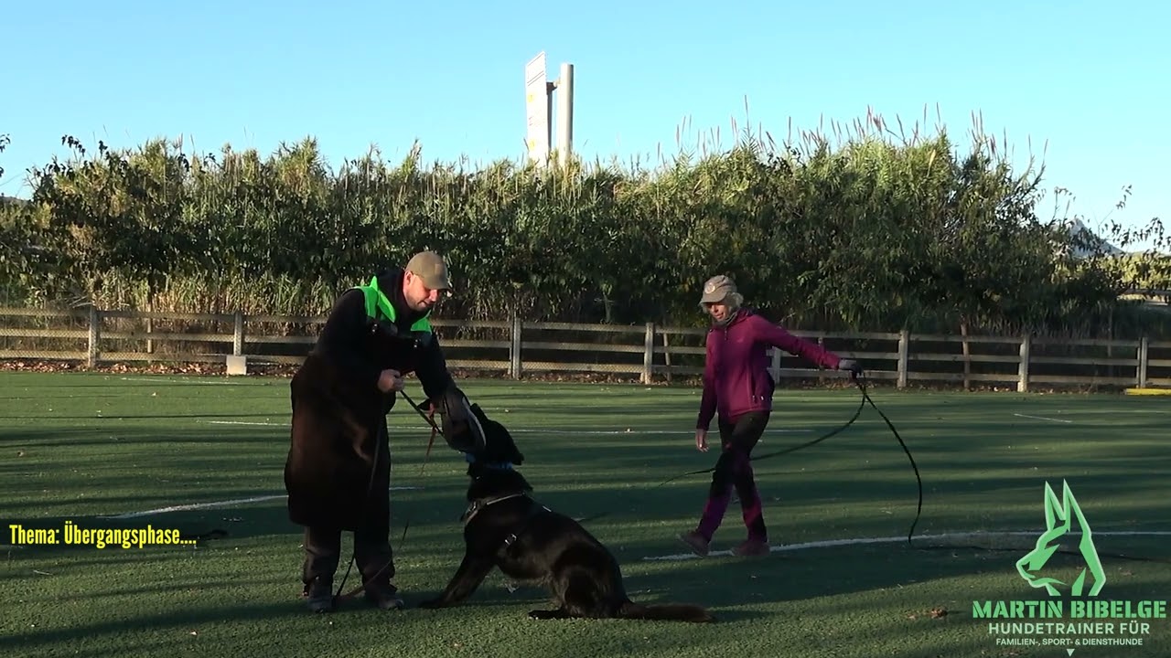 Junghundaufbau Schutzdienst im IGP-Hundesport