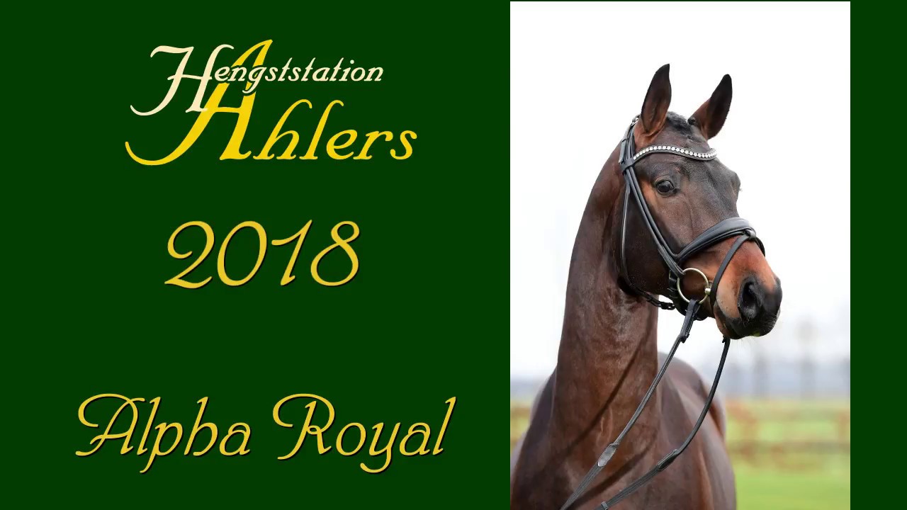 Alpha Royal 2018 www.hengstststation-ahlers.de