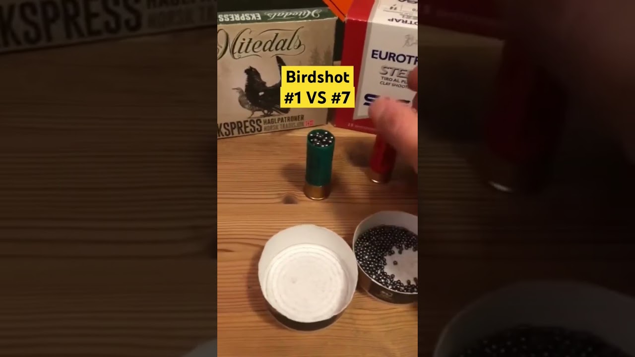 Birdshot #1 vs #7 #shorts  #pewpew