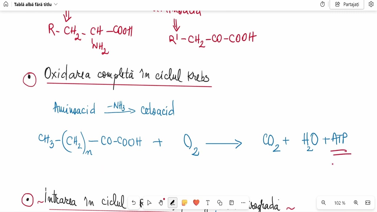 Barrons 19.5 Metabolismul proteinelor